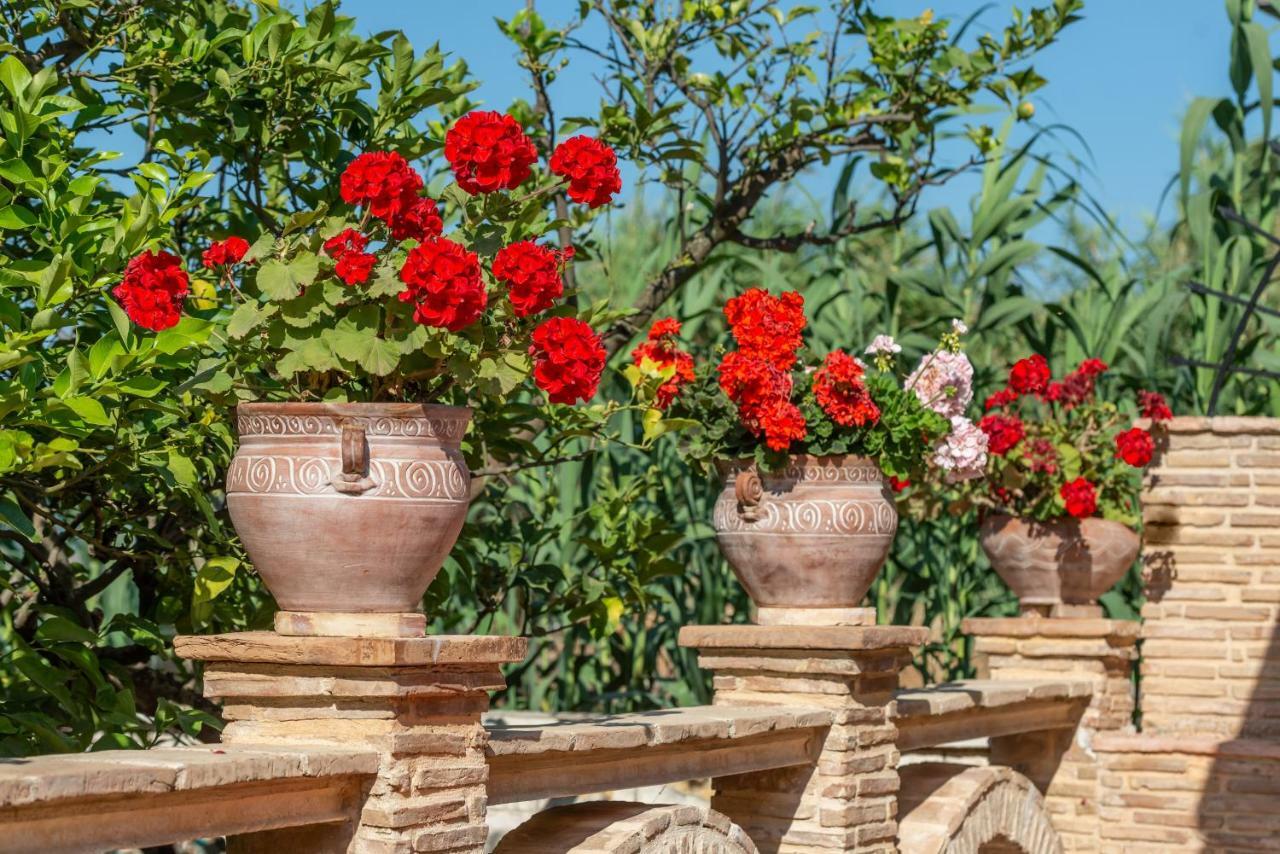 Villa Zakynthos Traditional House